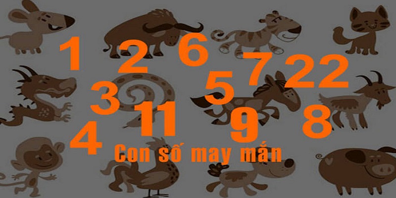 Lựa chọn những con số may mắn để nhận thưởng Lựa chọn những con số may mắn để nhận thưởng